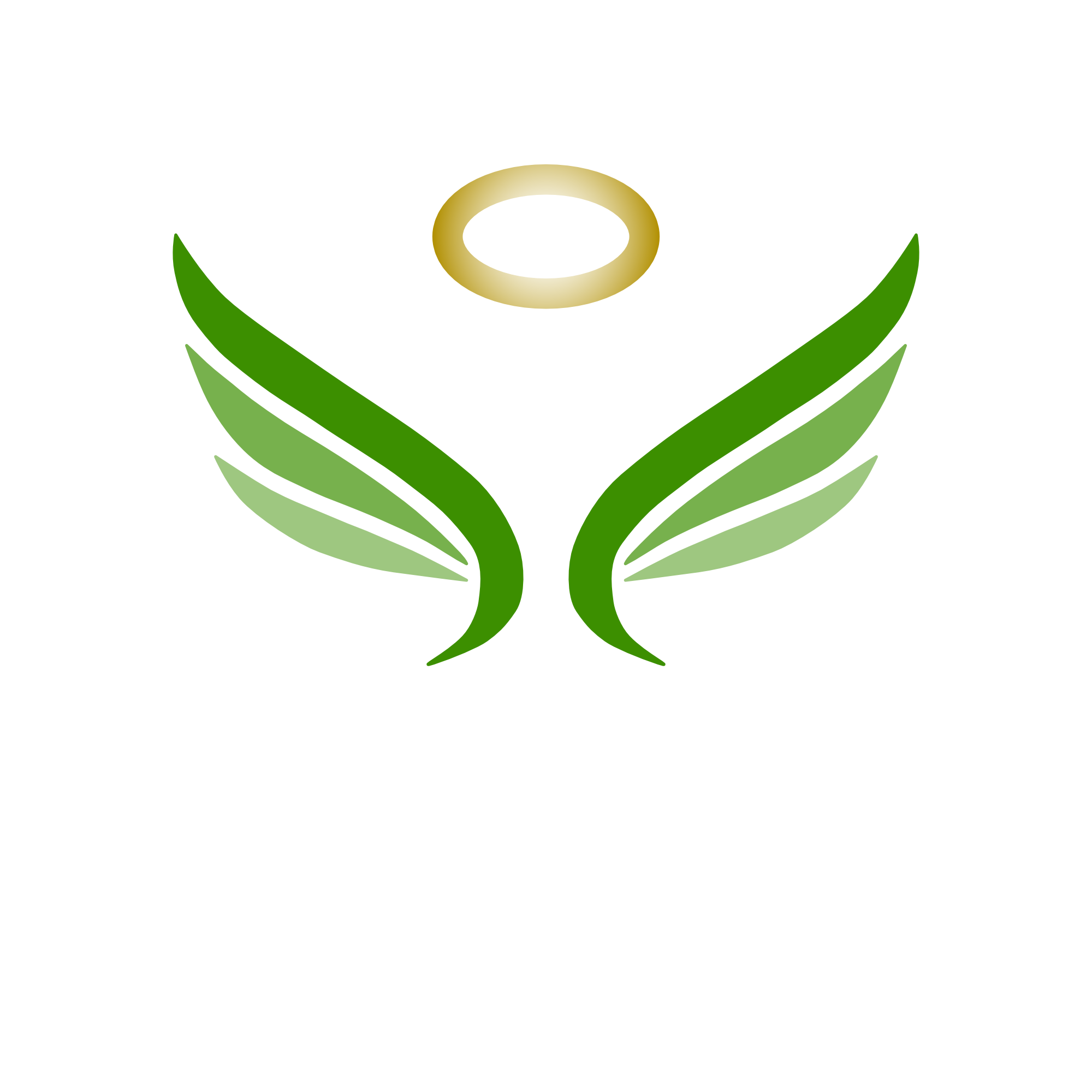 Vege Angel