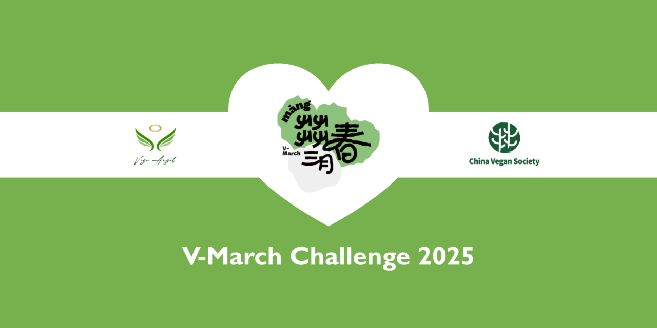 China Vegan Society – V-March Challenge 2025