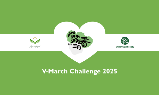 China Vegan Society – V-March Challenge 2025